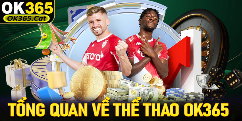 Thông tin tổng quan về thiên đường cá cược thể thao OK365