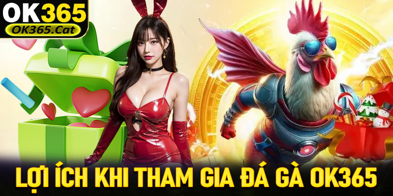 Những lợi ích to lớn nếu cược thủ tham gia cá cược tại đá gà OK365