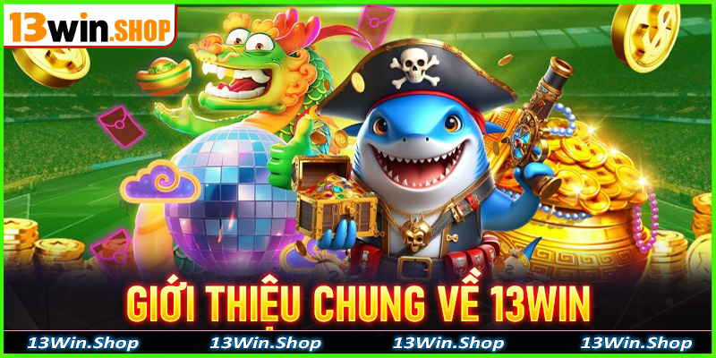 Giới thiệu chung về 13Win